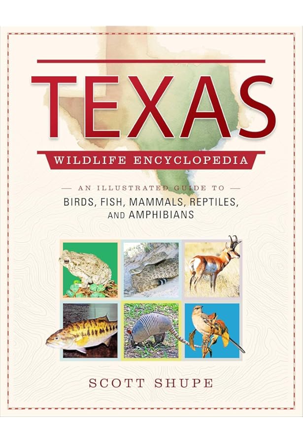 Texas Bug Book: The Good, the Bad, and the Ugly: Garrett, Howard